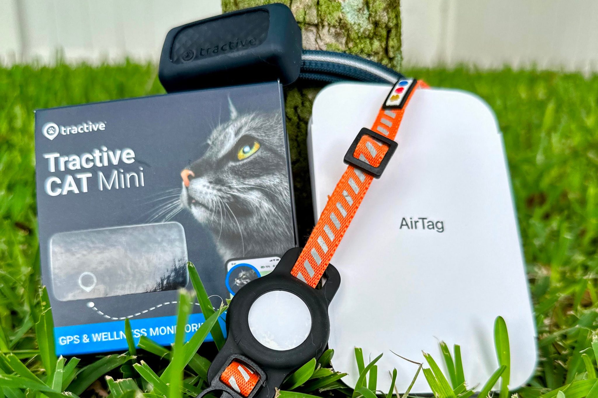 Comparing The Tractive Cat Mini Vs Airtag Trackers For Your Cat Catvetlife