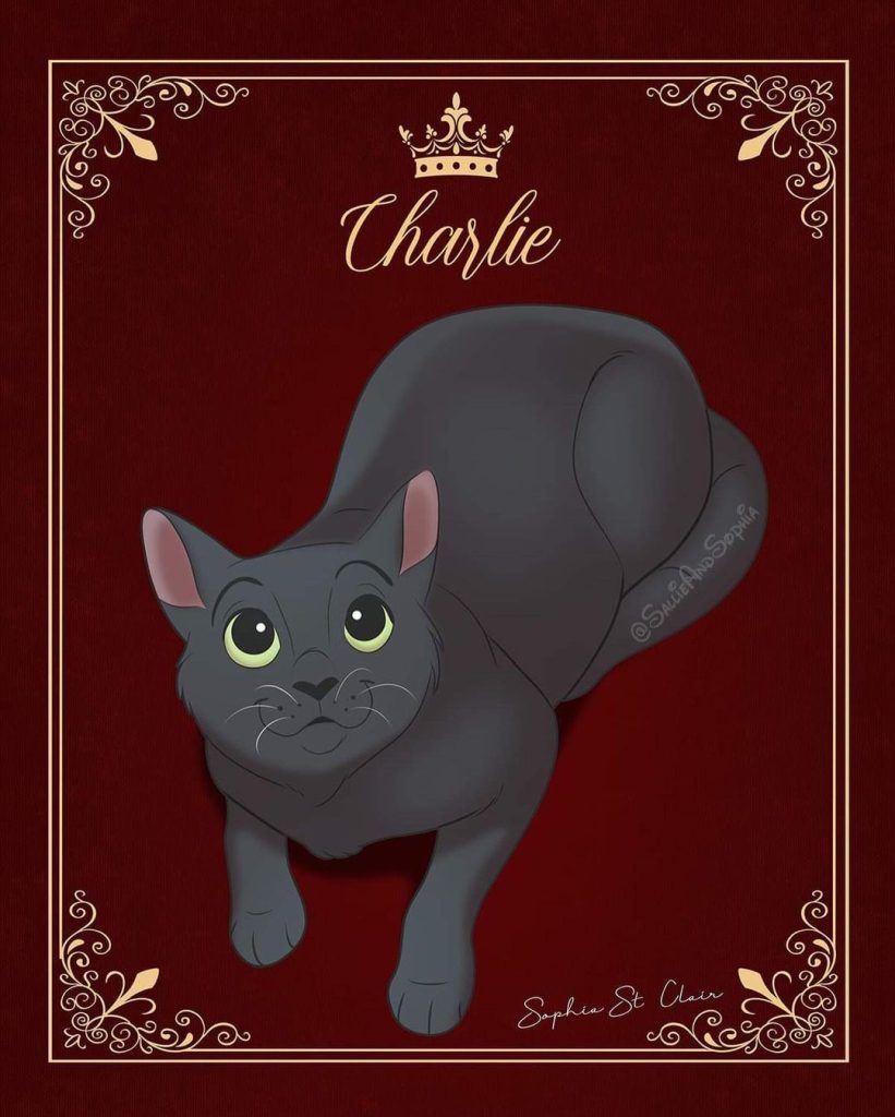 charlie pet art creations