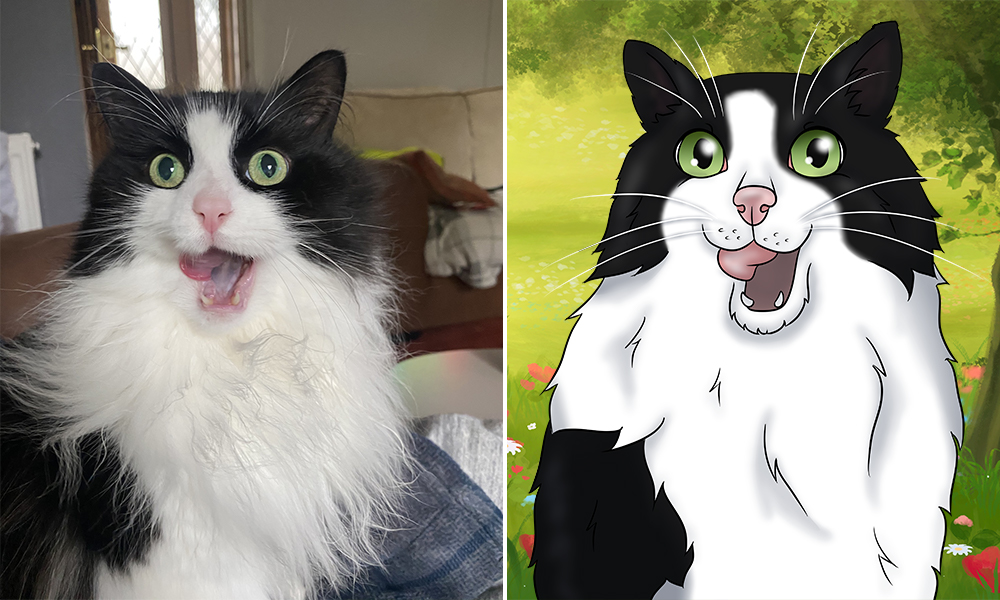 black and white pet creations art cats