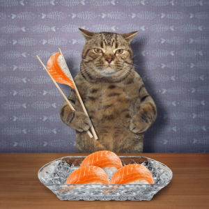 healthy cat treats sushi