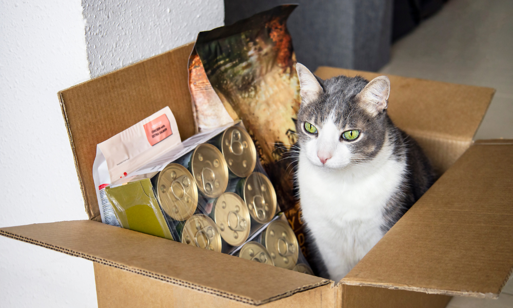 picking the perfect cat food in a box 