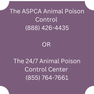 poison control