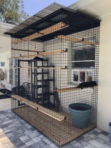 kitty lawn review my catio