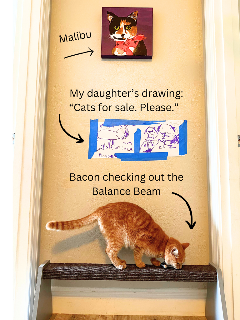 Bacon on the balance beam scratching post