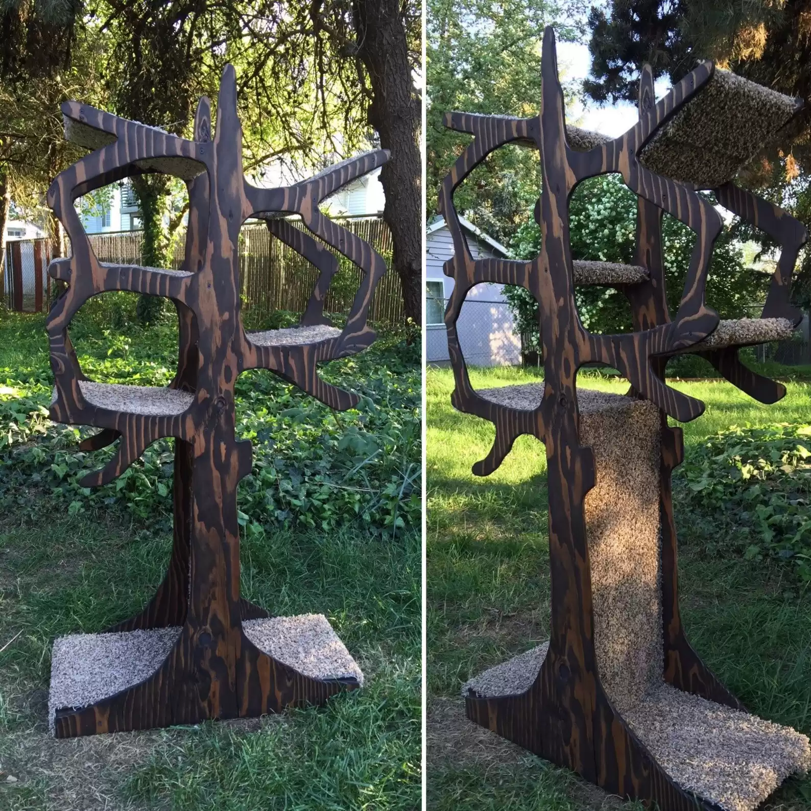 The Cat Tree Shaped Like a Tree